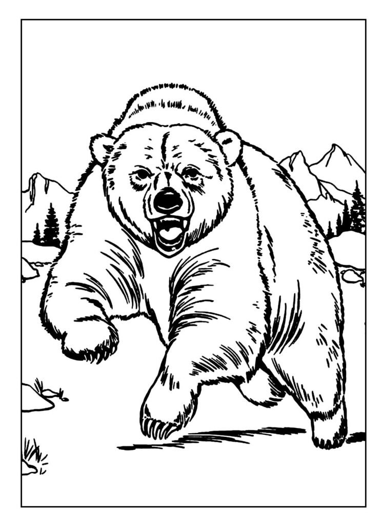 desenhos para colorir de urso 23