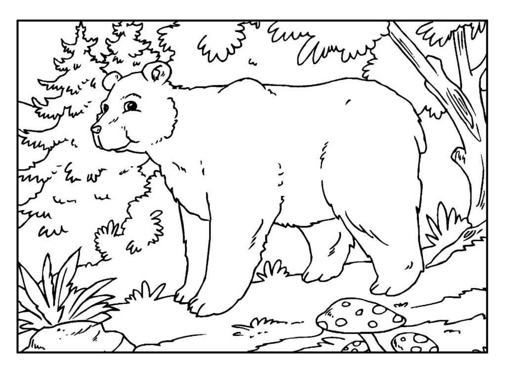 desenhos para colorir de urso 25