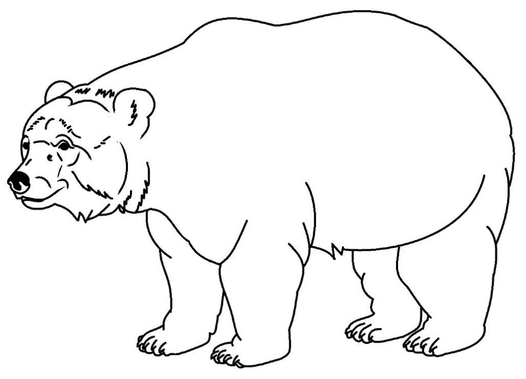 desenhos para colorir de urso 27 desenhos para colorir de urso 27