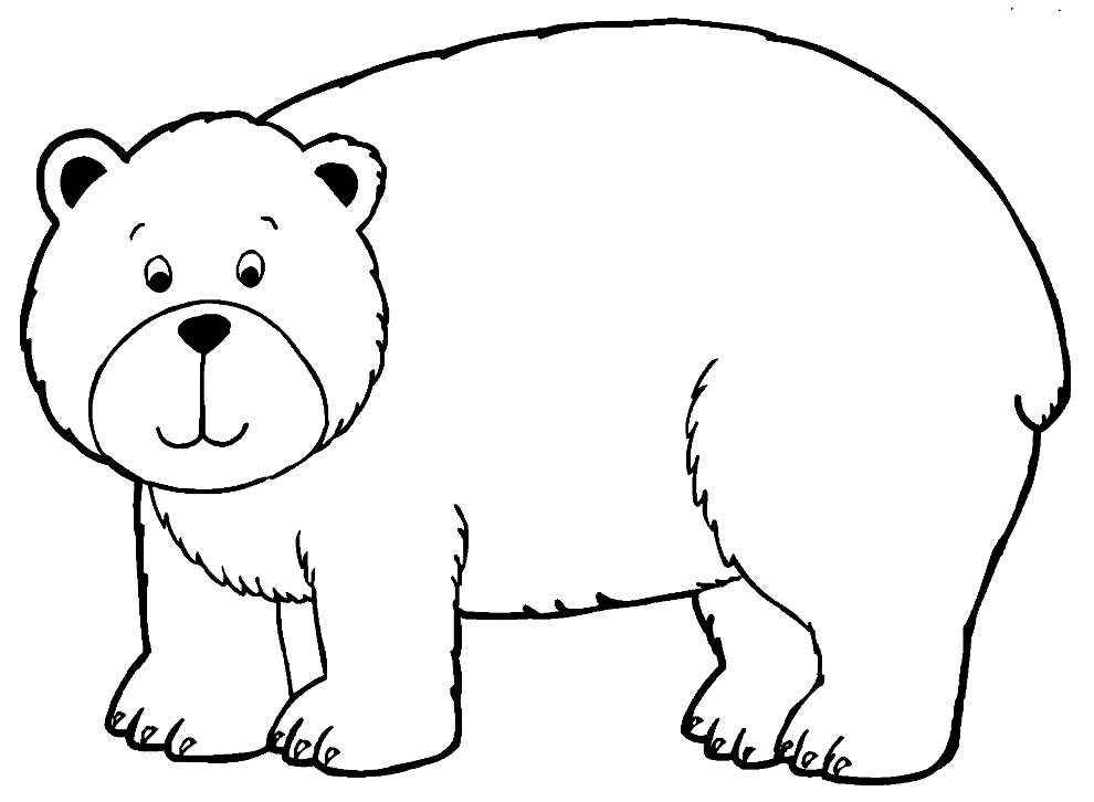 desenhos para colorir de urso 3