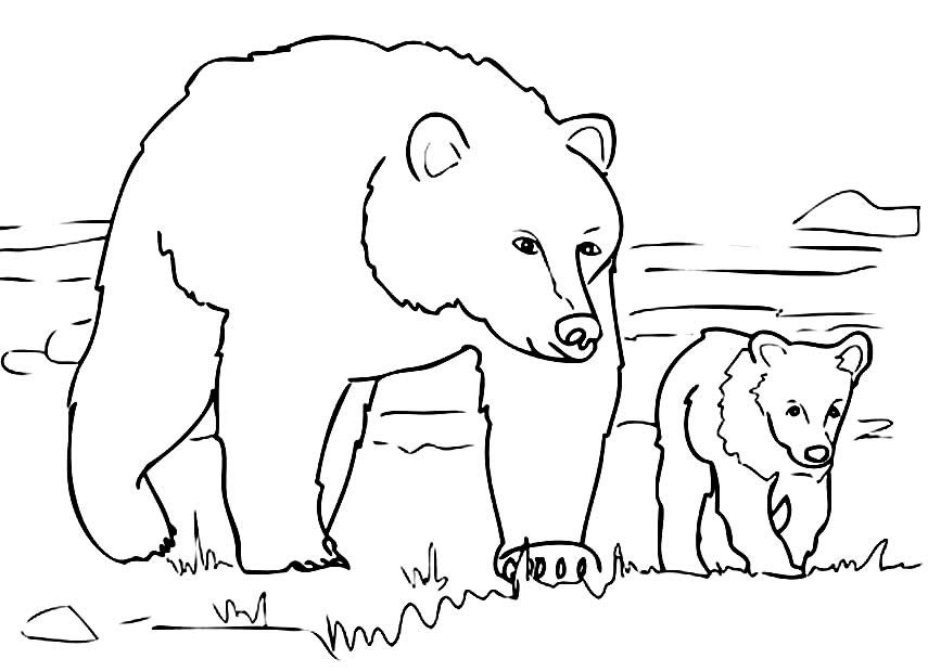 desenhos para colorir de urso 4