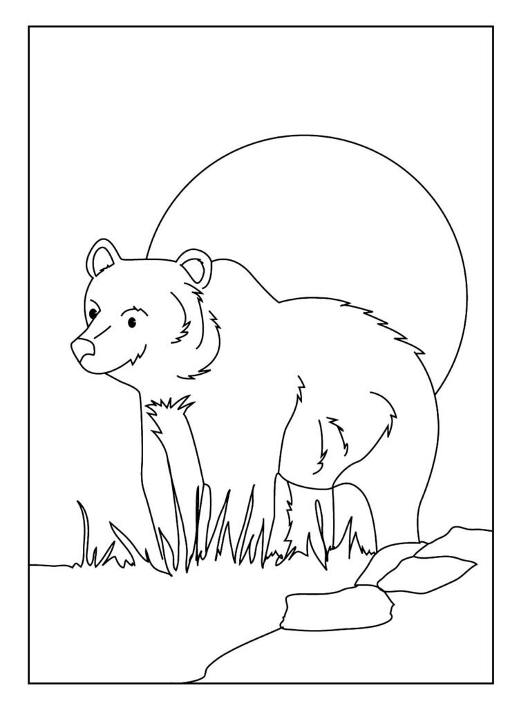 desenhos para colorir de urso 5