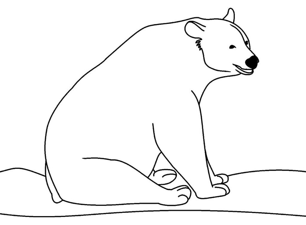 desenhos para colorir de urso 9