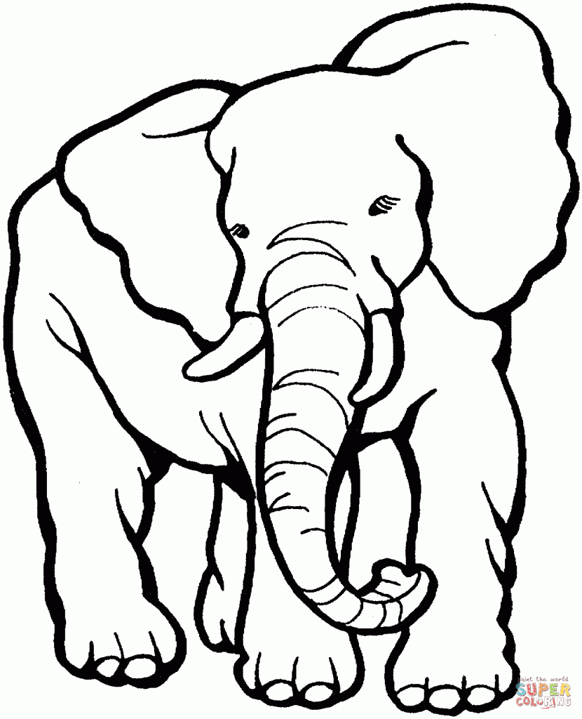 elefante para colorir e pintar