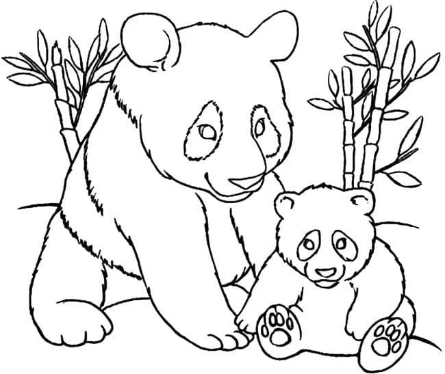 familia urso para colorir