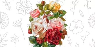 Desenhos de Flores para Colorir e Imprimir flores para colorir