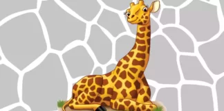 Desenhos de Girafa para Colorir e Imprimir girafa para colorir