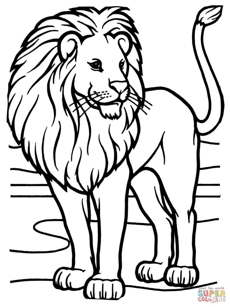 leão para colorir e pintar