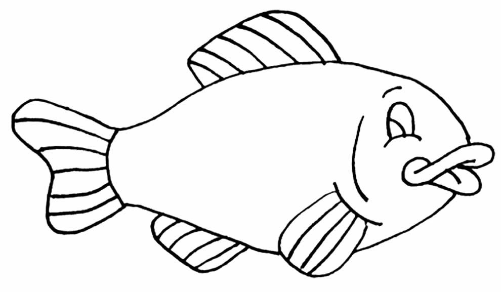 lindo desenho de peixe 3