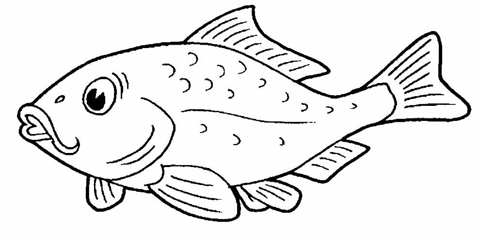 Desenho de Peixes para Colorir - Colorir.com