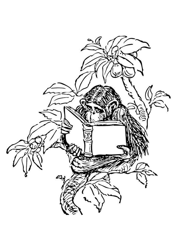 macaco para colorir 20