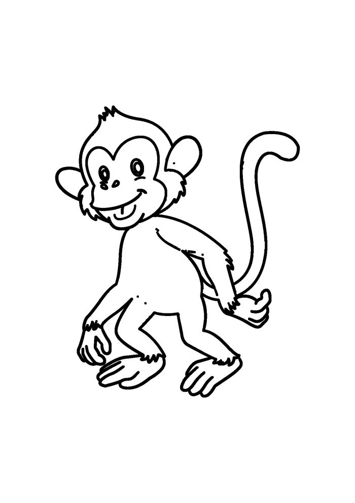 macaco para colorir 40