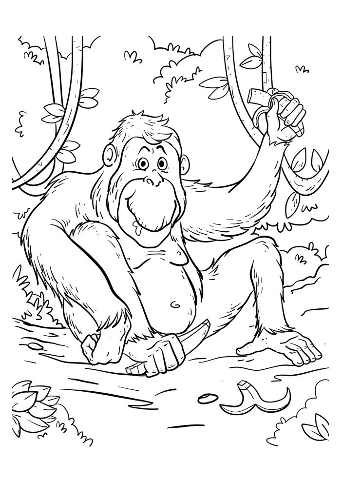 macaco para colorir 49