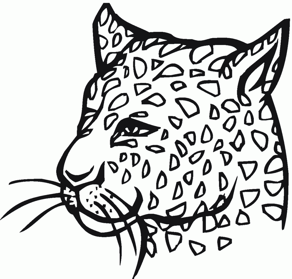 onça para colorir e pintar