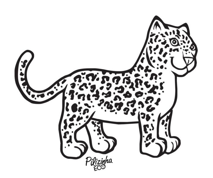 onça para colorir e pintar 8 onça para colorir e pintar