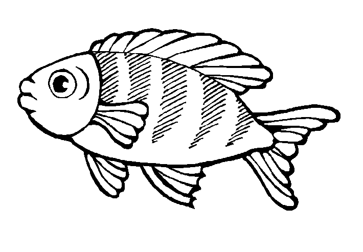 peixe para colorir e pintar