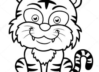 tigre para colorir e pintar