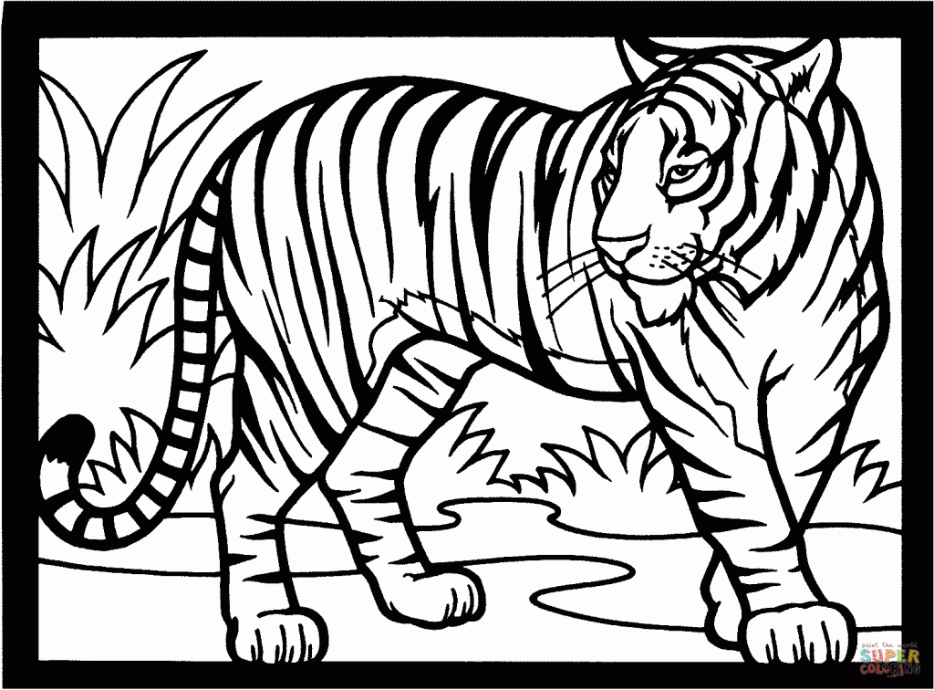 tigre para colorir e pintar