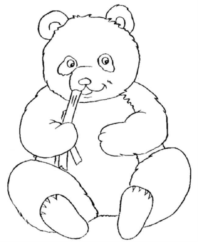 urso para colorir panda