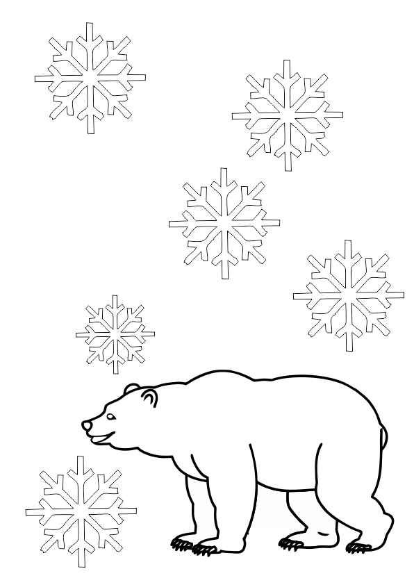ursos polar para colorir grande