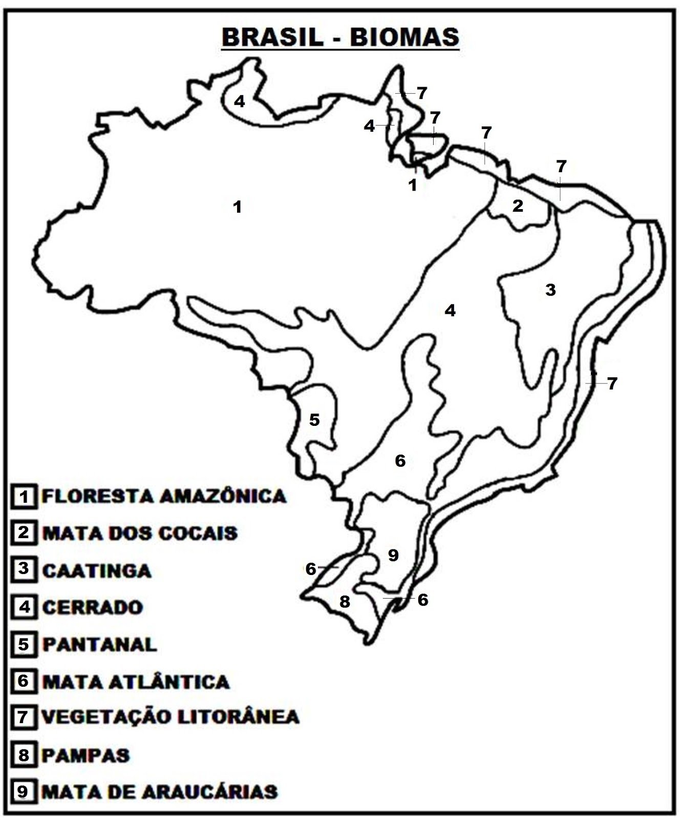Mapa do Brasil para Colorir e Imprimir Muito Fácil Colorir e Pintar