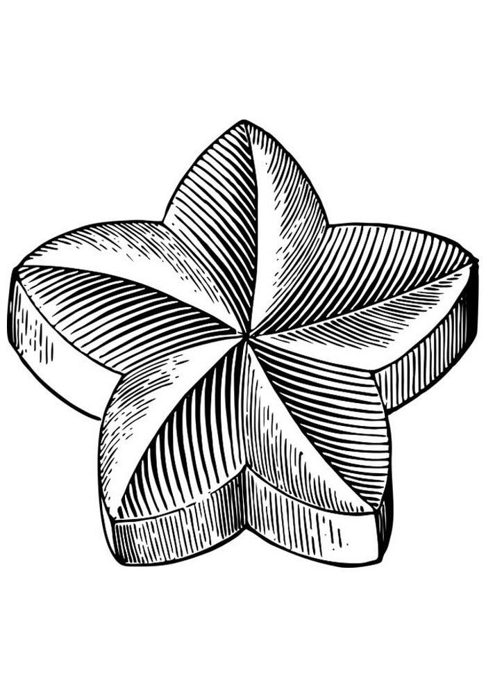 estrela para colorir 32