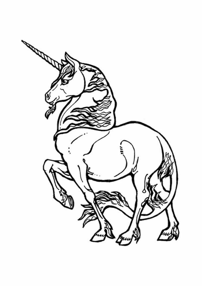 unicornio para colorir 632 unicornio para colorir 632