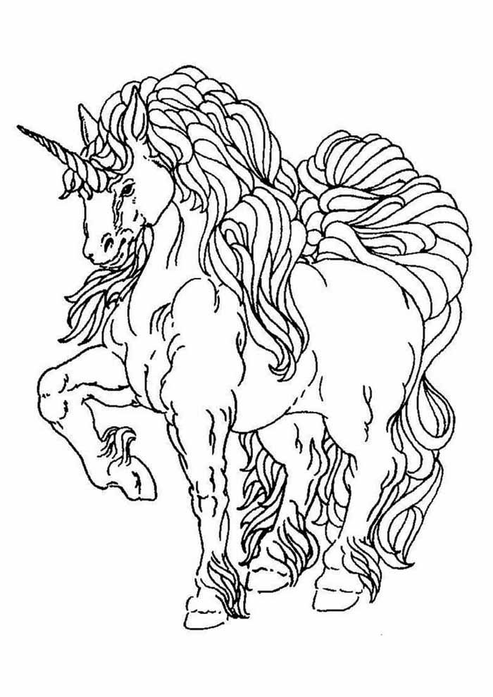 unicornio para colorir 672 unicornio para colorir 672