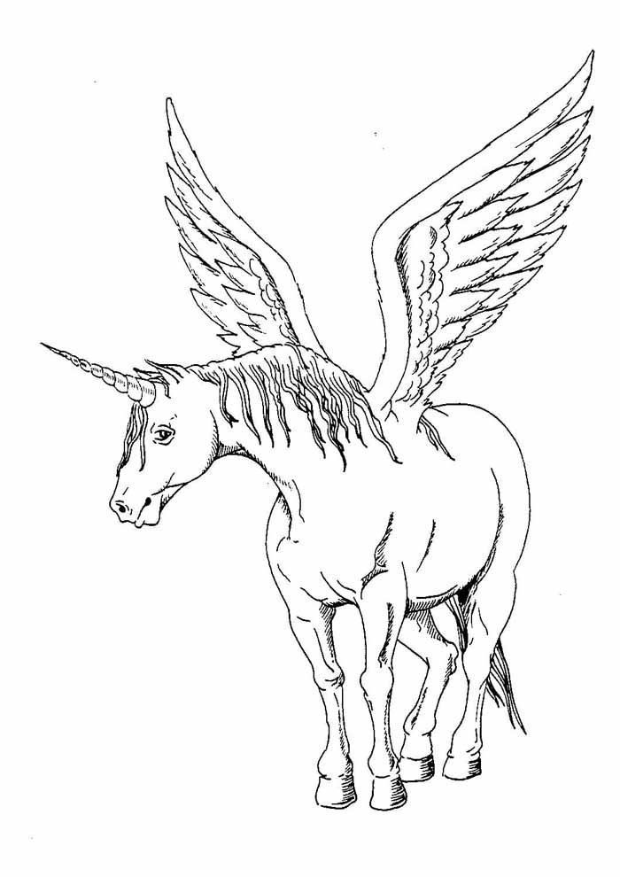 unicornio para colorir 762 unicornio para colorir 762