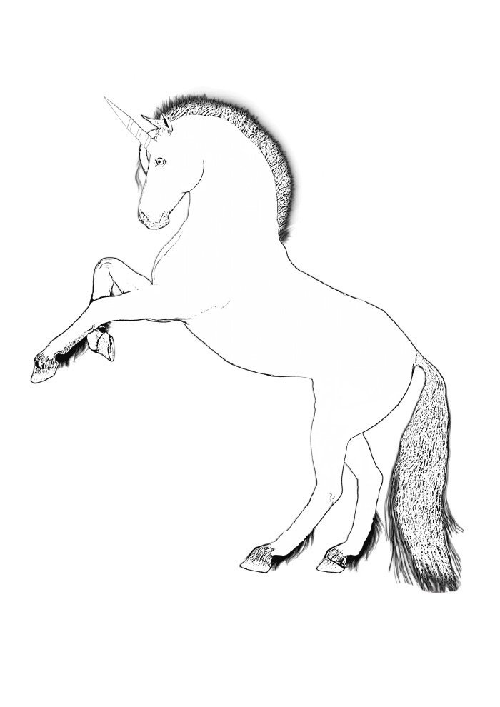 unicornio para colorir empinando unicornio para colorir empinando
