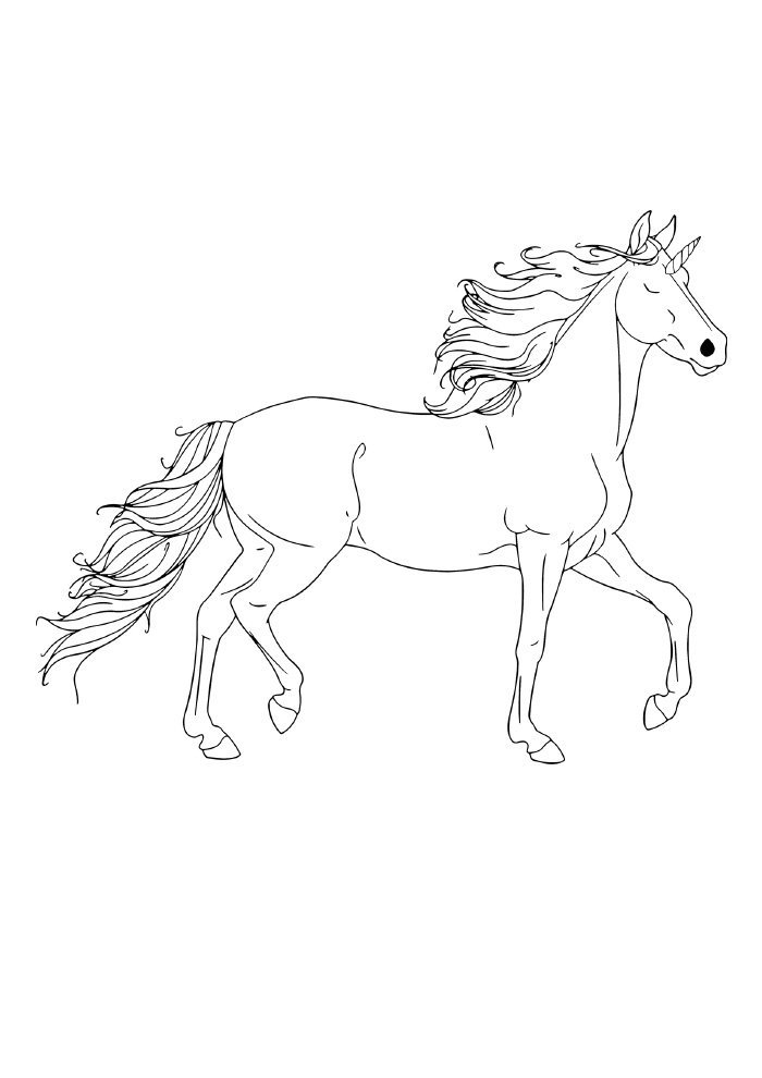 unicornio para colorir macho elegante unicornio para colorir macho elegante