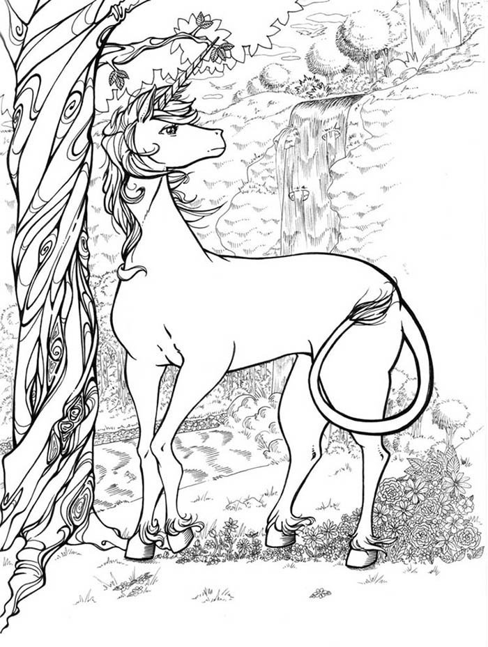 unicornio para pintar unicornio para pintar