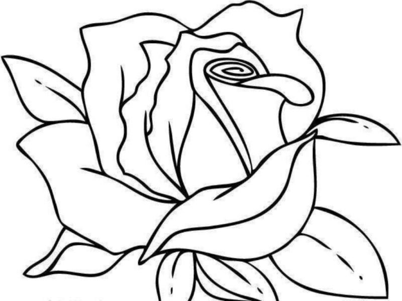 Desenhos de Rosas para Colorir arranjo de rosas