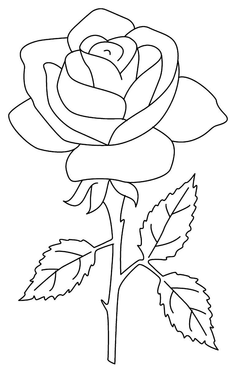 Desenhos de Rosas para Colorir e Imprimir - Muito Fácil - Aprender a ...