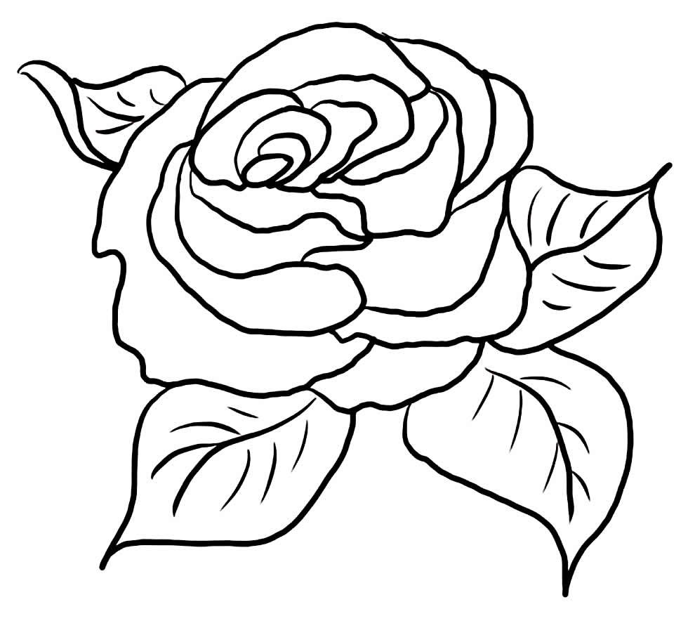 Rosa Para Colorir - Dezenas de Desenhos Para Pintar