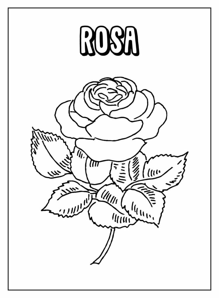 desenhos de rosa para colorir 19