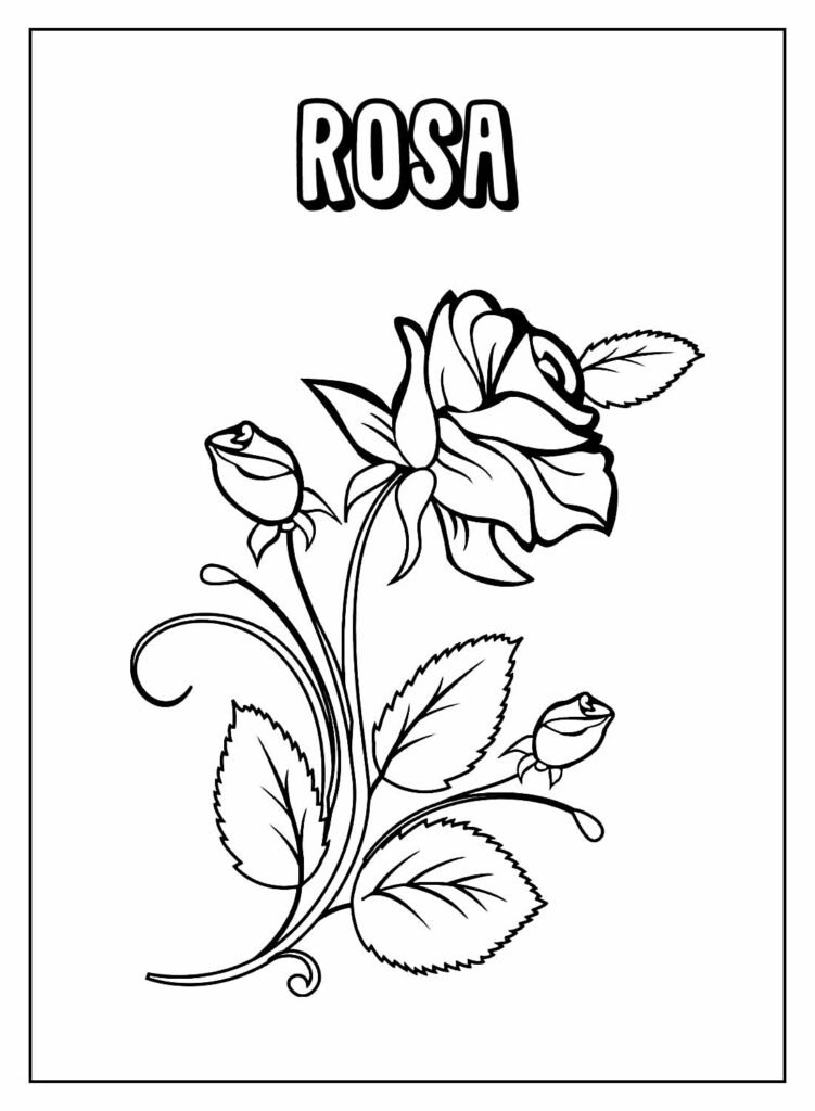 desenhos de rosa para colorir 20