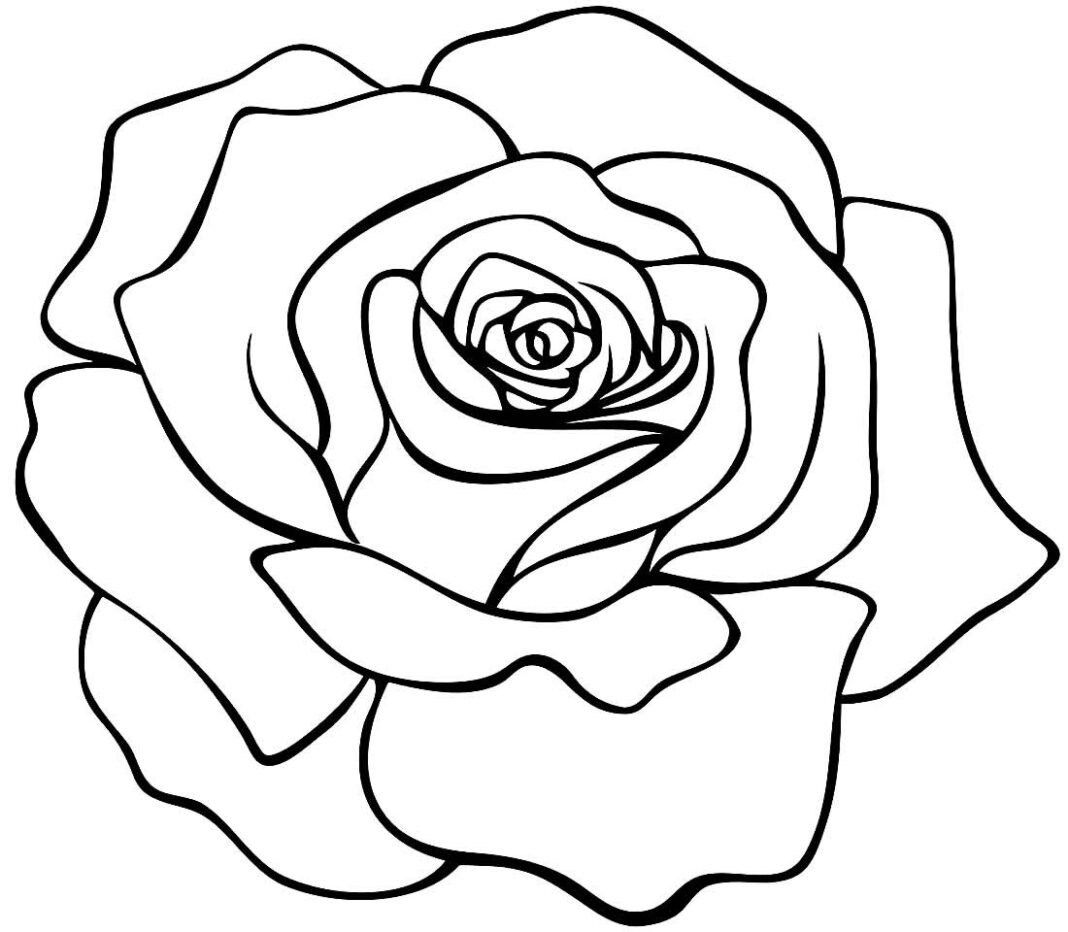 Desenhos de Rosas para Colorir e Imprimir - Muito Fácil - Aprender a ...