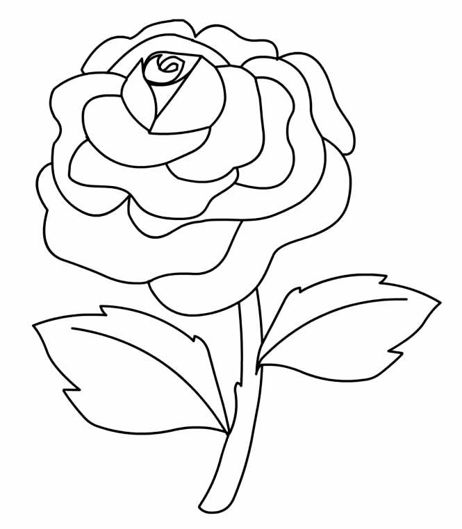 Rosa Para Colorir - Dezenas de Desenhos Para Pintar