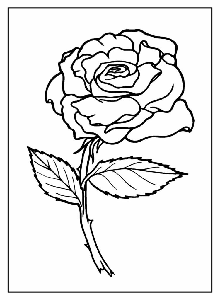 desenhos de rosa para colorir 5