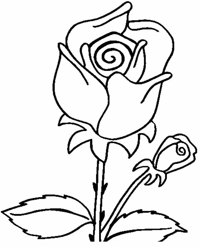 Rosa Para Colorir - Dezenas de Desenhos Para Pintar