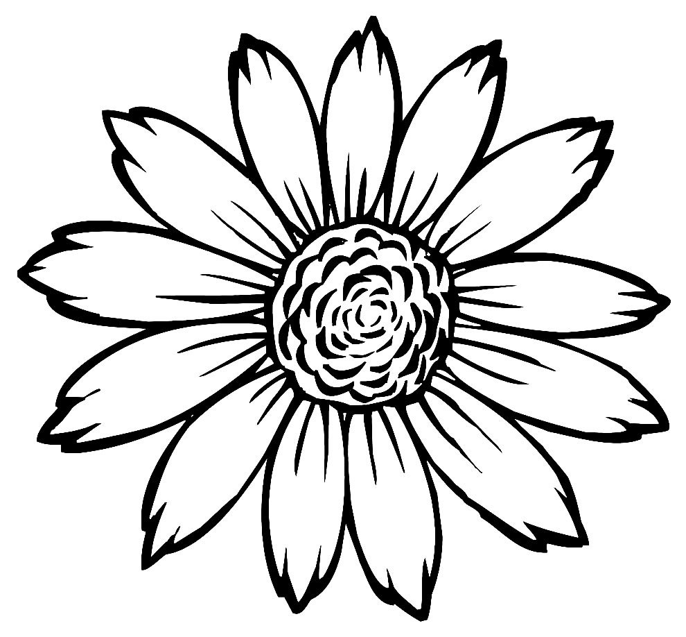 desenhos de girassol para colorir 1000