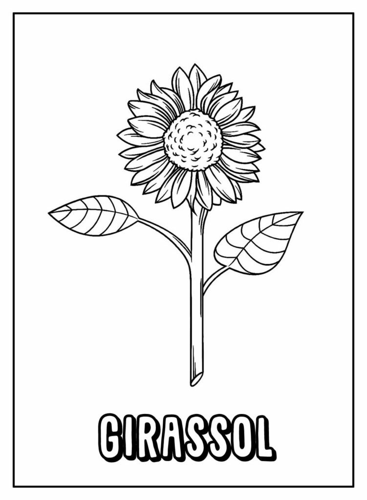 desenhos de girassol para colorir 23