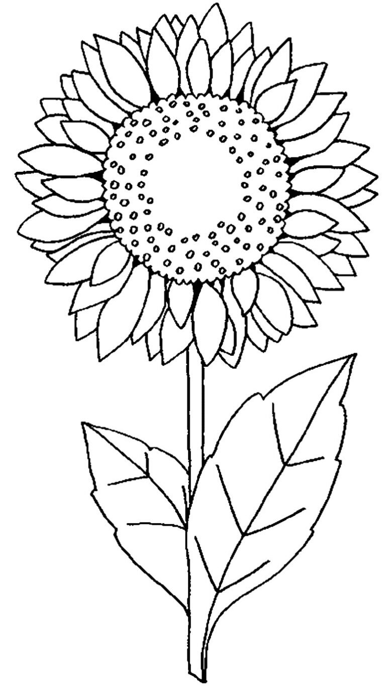 +100 Desenhos de Girassol para Colorir e Imprimir