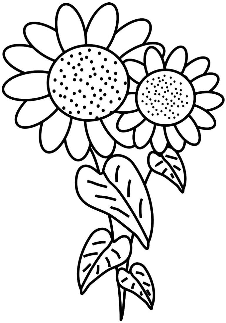 +100 Desenhos de Girassol para Colorir e Imprimir