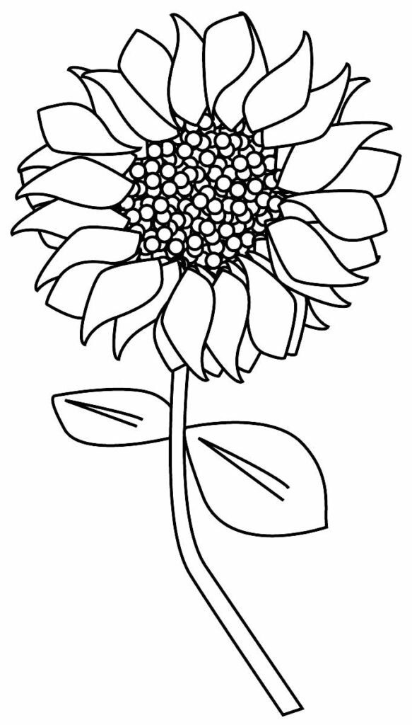 desenhos lindos de girassol 10