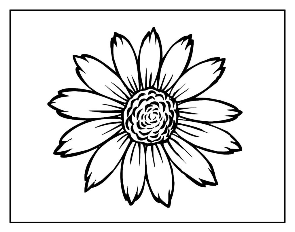 flor girassol para pintar e colorir 1