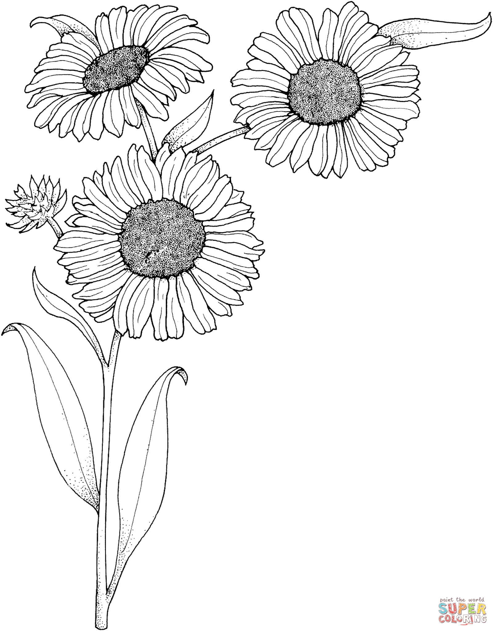 Girassol para Colorir e Imprimir - Muito Fácil - Aprender a Desenhar