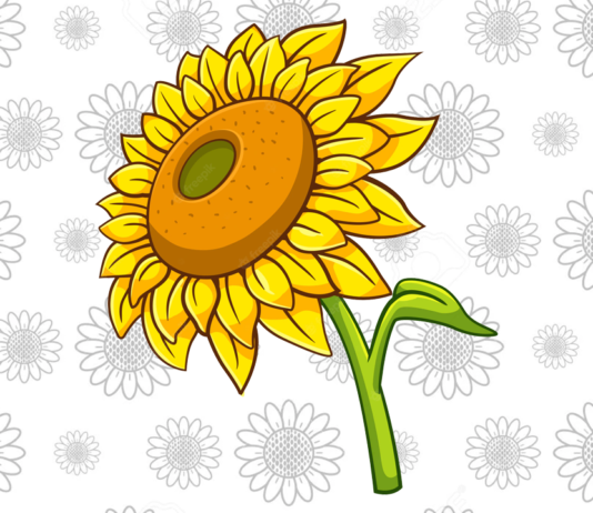 girassol para colorir