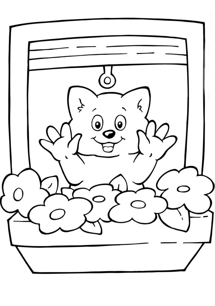 janela para colorir gato